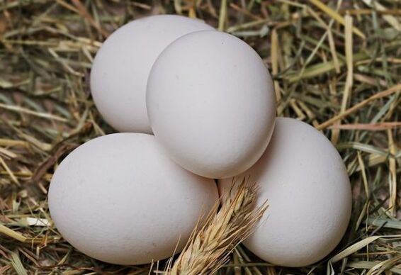 Dieta me vezë përfshin ngrënien e vezëve të pulës çdo ditë. 